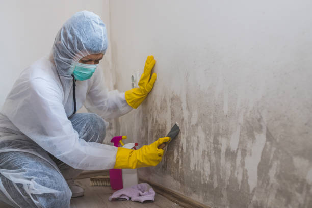 Mold Testing and Removal in Mannington, WV