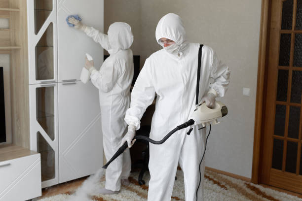 Best Commercial Mold Removal  in Mannington, WV